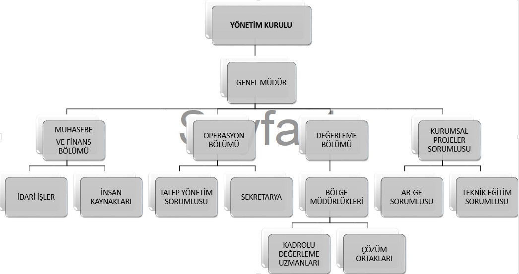 Organizasyon Şeması | taksim Kurumsal Değerleme